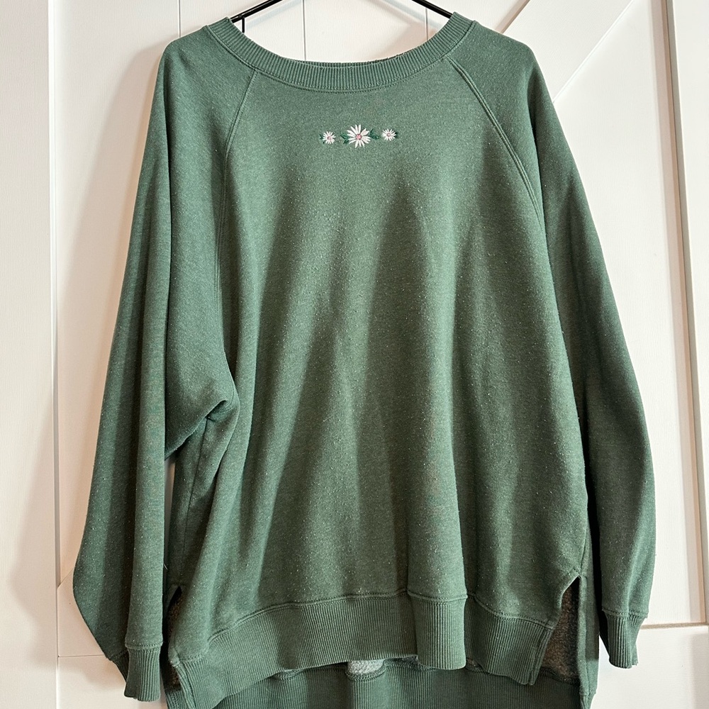 American Eagle Outfitters Crew Neck Sweater Size Large